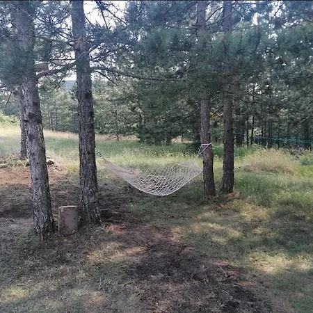 Planinska Kuca Mitrovic Homestay *