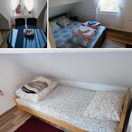 Homestay Planinska Kuca Mitrovic *