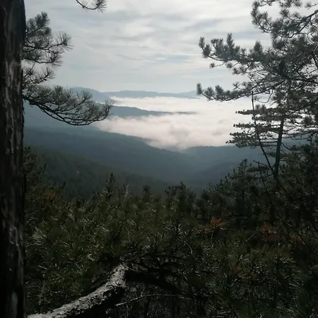 Homestay Planinska Kuca Mitrovic