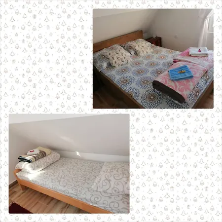 Homestay Planinska Kuca Mitrovic *