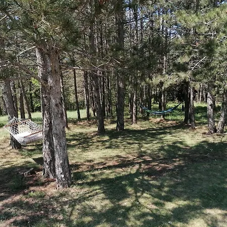 Planinska Kuca Mitrovic Divcibare